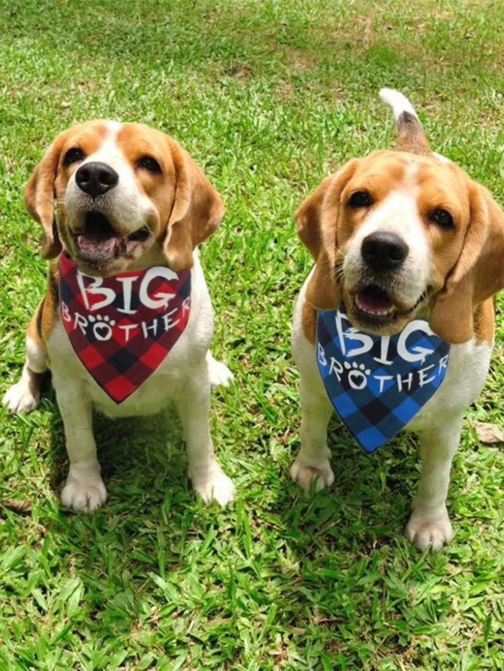 2 BIG BROTHER DOG BANDANAS BUFFALO PLAID PET PREGNANCY ANNOUNCEMENT SCARFS